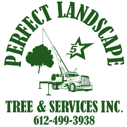 green logo no BG